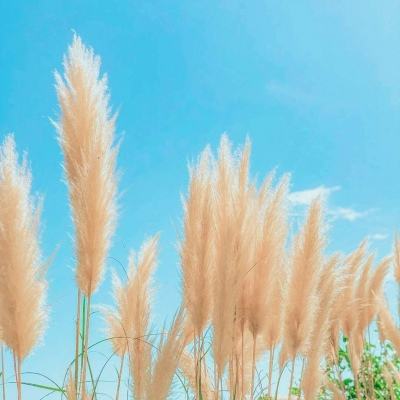 节奏天空最新版下载