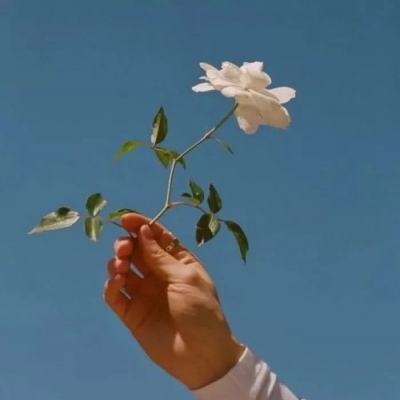 洪荒神传手游下载