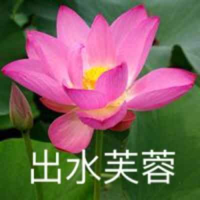 舰无虚发暗星九游手游下载